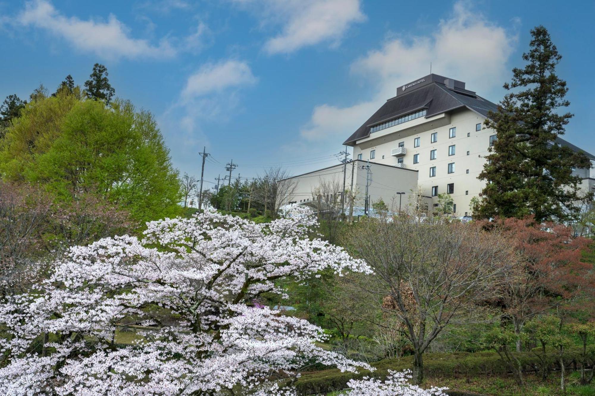 คังโป โนะ ยะโดะ โอะอุเมะ Hotel Ome ภายนอก รูปภาพ